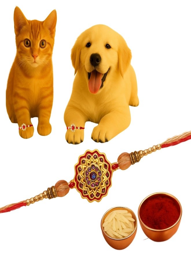 Sage Square Paw Bandhan Rakhi for Dog, Cat & Small Pets | Celebrate Bonds of Love This Raksha Bandhan | Cute Rakhi with Beads, Decorative Threads | Gift for Pet Lovers & Furry Companions (Type 31) - Image 1